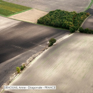 DENOUAIL Anne - Diagonale - FRANCE.jpg