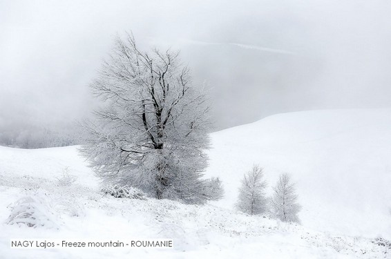 NAGY Lajos - Freeze mountain - ROUMANIE.jpg