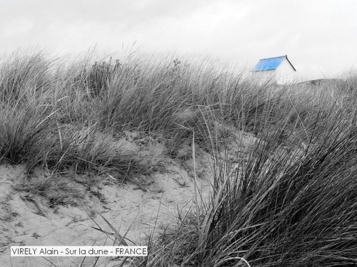 VIRELY Alain - Sur la dune - FRANCE.jpg