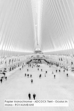 Papier Monochrome - ADCOCK Terri - Oculus in Mono - ROYAUME-UNI.jpg