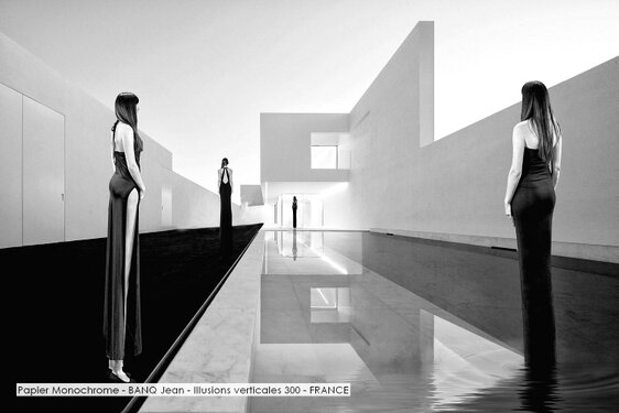 Papier Monochrome - BANQ Jean - Illusions verticales 300 - FRANCE.jpg