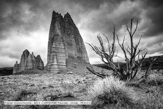 Papier Monochrome - BECK CARPENTIER Pascale - Moab - FRANCE.jpg
