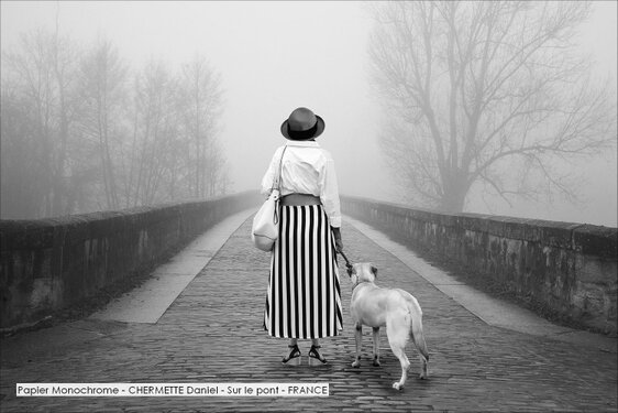 Papier Monochrome - CHERMETTE Daniel - Sur le pont - FRANCE.jpg