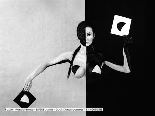 Papier Monochrome - EIFERT Janos - Dual Consciousness 13 - HONGRIE.jpg