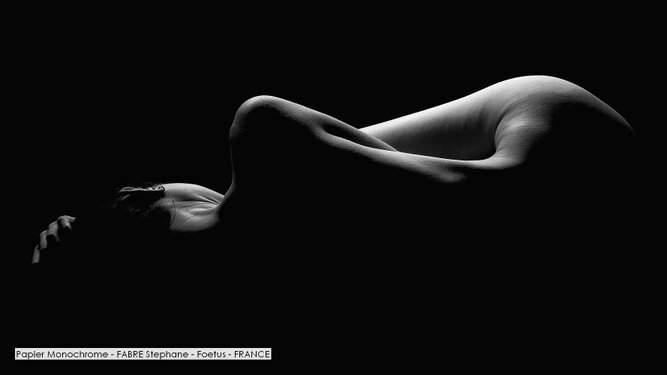 Papier Monochrome - FABRE Stephane - Foetus - FRANCE.jpg