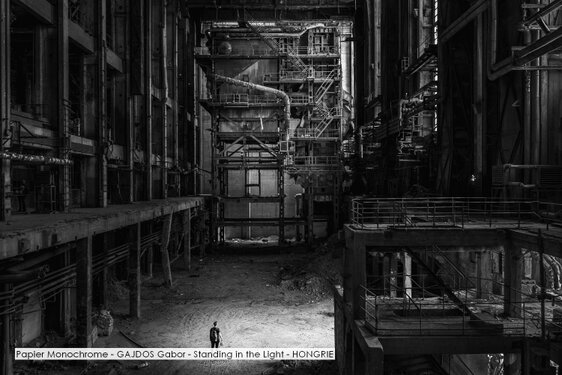 Papier Monochrome - GAJDOS Gabor - Standing in the Light - HONGRIE.jpg