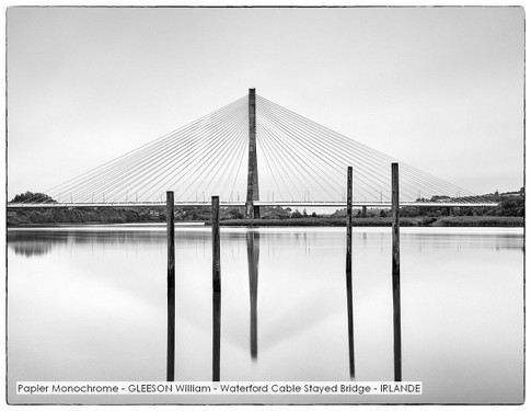 Papier Monochrome - GLEESON William - Waterford Cable Stayed Bridge - IRLANDE.jpg