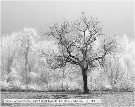 Papier Monochrome - LASFARGUE Francis - Les deux corbeaux - 1+ - FRANCE.jpg