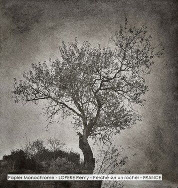 Papier Monochrome - LOPERE Remy - Perché sur un rocher - FRANCE.jpg