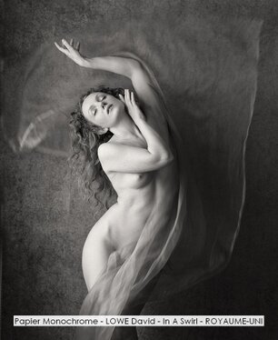 Papier Monochrome - LOWE David - In A Swirl - ROYAUME-UNI.jpg