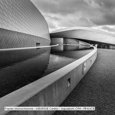 Papier Monochrome - MEURISSE Cedric - Aquarium CPH - FRANCE.jpg
