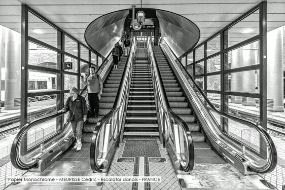 Papier Monochrome - MEURISSE Cedric - Escalator danois - FRANCE.jpg