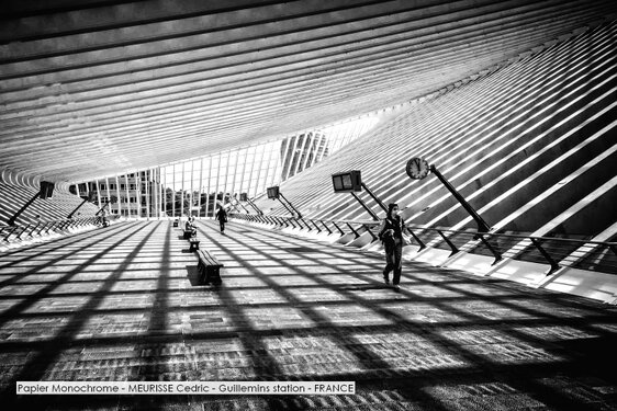 Papier Monochrome - MEURISSE Cedric - Guillemins station - FRANCE.jpg