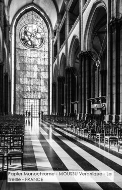 Papier Monochrome - MOUSSU Veronique - La Treille - FRANCE.jpg