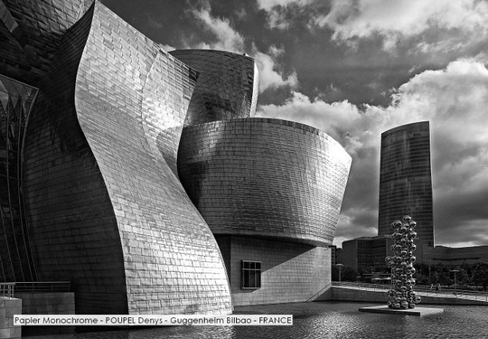 Papier Monochrome - POUPEL Denys - Guggenheim Bilbao - FRANCE.jpg