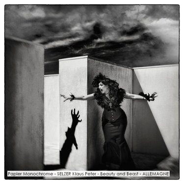 Papier Monochrome - SELZER Klaus Peter - Beauty and Beast - ALLEMAGNE.jpg