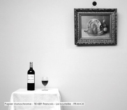 Papier Monochrome - TEXIER Francois - La bouteille - FRANCE.jpg
