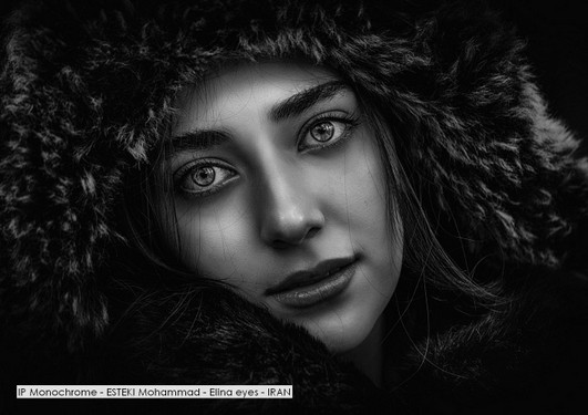 IP Monochrome - ESTEKI Mohammad - Elina eyes - IRAN.jpg