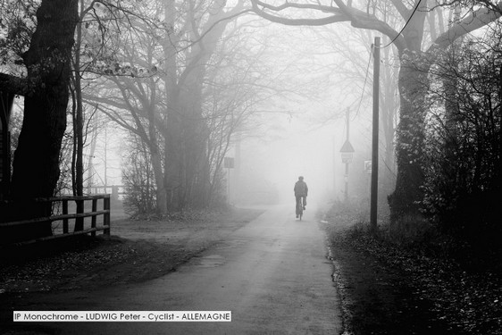IP Monochrome - LUDWIG Peter - Cyclist - ALLEMAGNE.jpg