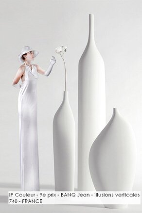 IP Couleur - 9e prix - BANQ Jean - illusions verticales 740 - FRANCE.jpg