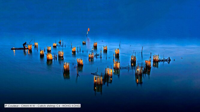 IP Couleur - CHAN H W - Catch shrimp C4 - HONG KONG.jpg