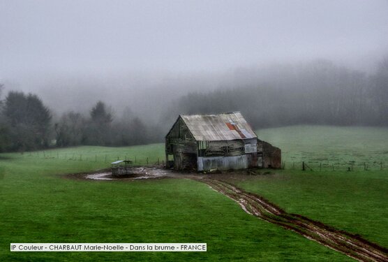 IP Couleur - CHARBAUT Marie-Noelle - Dans la brume - FRANCE.jpg