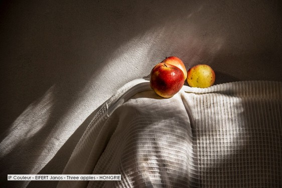 IP Couleur - EIFERT Janos - Three apples - HONGRIE.jpg