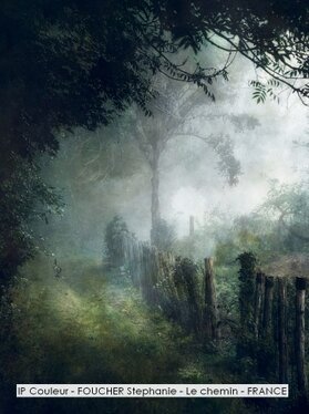IP Couleur - FOUCHER Stephanie - Le chemin - FRANCE.jpg
