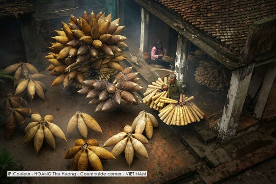 IP Couleur - HOANG Thu Huong - Countryside corner - VIET NAM.jpg