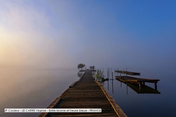 IP Couleur - LE CARRE Virginie - Entre brume et heure bleue - FRANCE.jpg