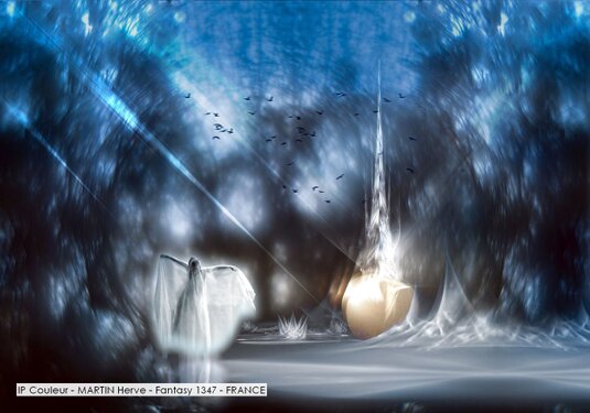 IP Couleur - MARTIN Herve - Fantasy 1347 - FRANCE.jpg