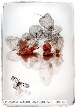IP Couleur - MARTIN Herve - Still-Life 31 - FRANCE.jpg