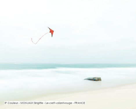 IP Couleur - MONJAUX Brigitte - Le-cerf-volant-rouge - FRANCE.jpg
