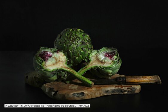 IP Couleur - MORIO Francoise - Artichauts au couteau - FRANCE.jpg