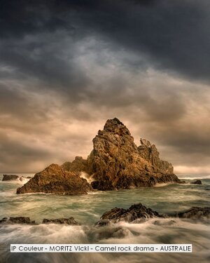 IP Couleur - MORITZ Vicki - Camel rock drama - AUSTRALIE.jpg