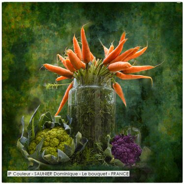 IP Couleur - SAUNIER Dominique - Le bouquet - FRANCE.jpg