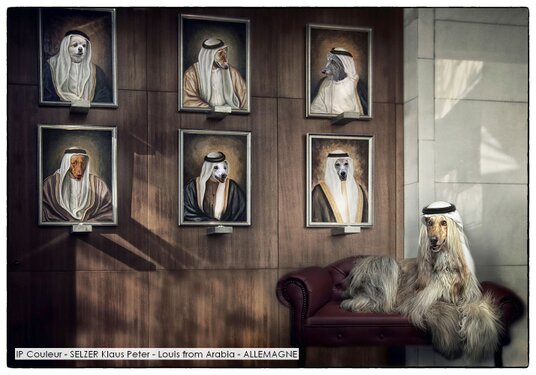 IP Couleur - SELZER Klaus Peter - Louis from Arabia - ALLEMAGNE.jpg