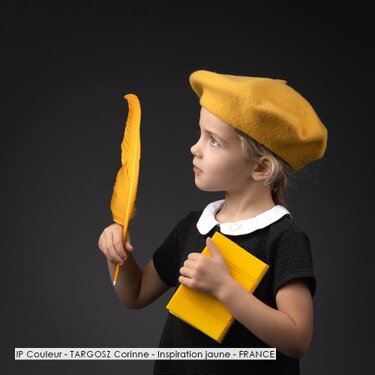 IP Couleur - TARGOSZ Corinne - Inspiration jaune - FRANCE.jpg