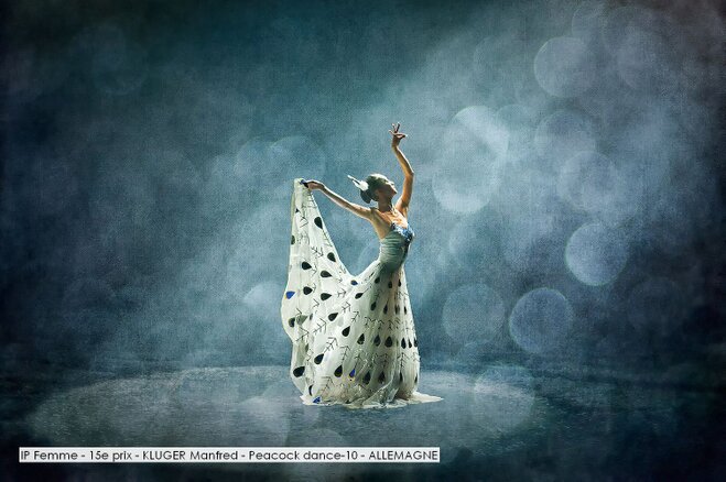 IP Femme - 15e prix - KLUGER Manfred - Peacock dance-10 - ALLEMAGNE.jpg