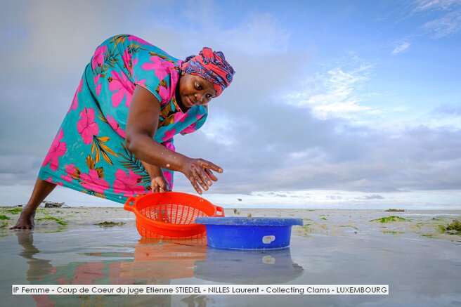 IP Femme - Coup de Coeur du juge Etienne STIEDEL - NILLES Laurent - Collecting Clams - LUXEMBOURG.jpg