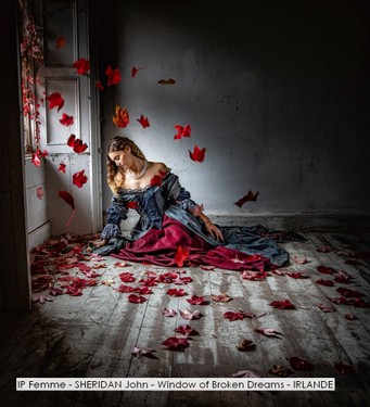 IP Femme - SHERIDAN John - Window of Broken Dreams - IRLANDE.jpg