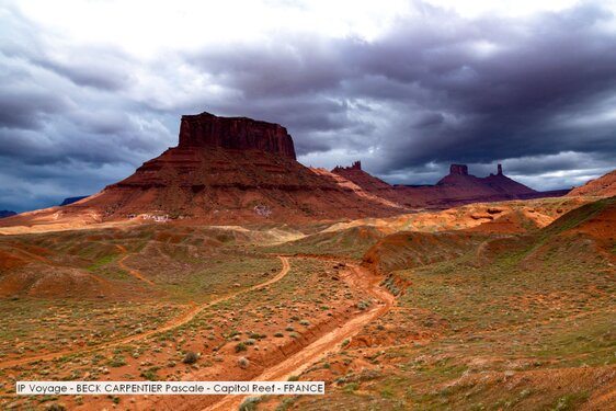 IP Voyage - BECK CARPENTIER Pascale - Capitol Reef - FRANCE.jpg