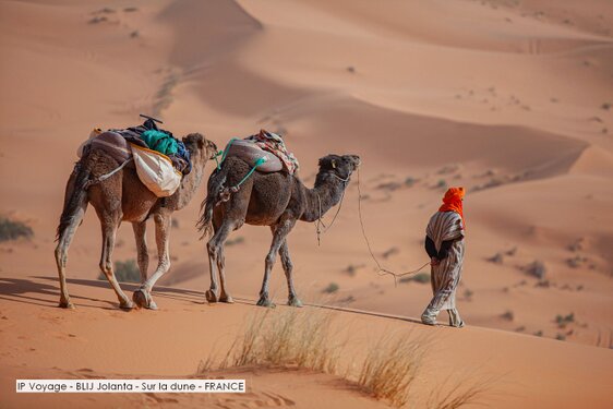 IP Voyage - BLIJ Jolanta - Sur la dune - FRANCE.jpg