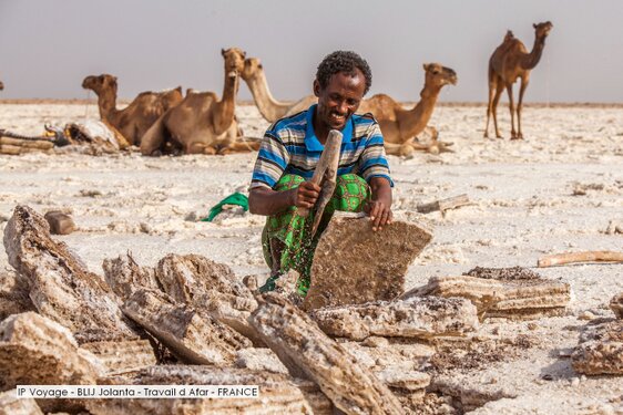IP Voyage - BLIJ Jolanta - Travail d Afar - FRANCE.jpg