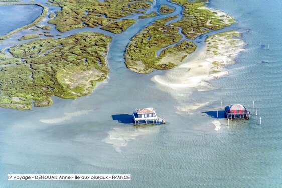 IP Voyage - DENOUAIL Anne - Ile aux oiseaux - FRANCE.jpg