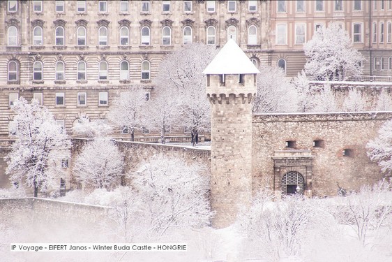 IP Voyage - EIFERT Janos - Winter Buda Castle - HONGRIE.jpg