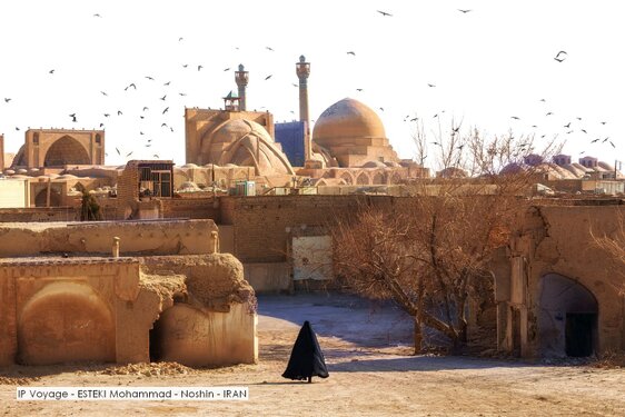 IP Voyage - ESTEKI Mohammad - Noshin - IRAN.jpg