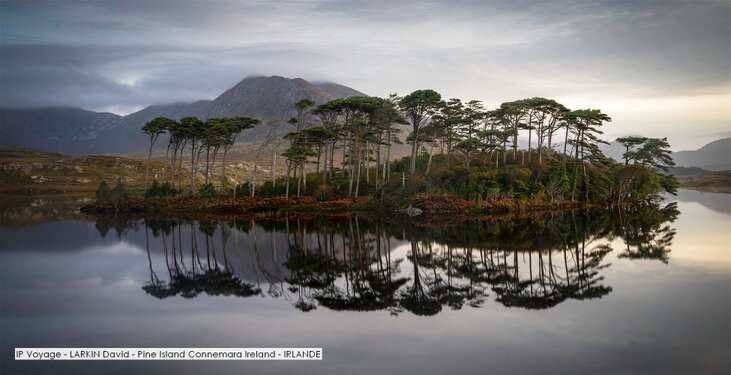 IP Voyage - LARKIN David - Pine Island Connemara Ireland - IRLANDE.jpg