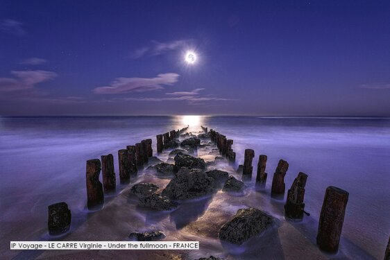 IP Voyage - LE CARRE Virginie - Under the fullmoon - FRANCE.jpg