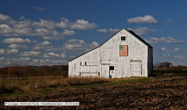IP Voyage - RUNYAN Trudy - Weathered Barn - ETATS-UNIS.jpg
